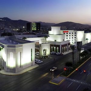 Marriott Torreon Hotel